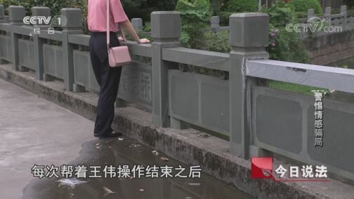 今日说法 《今日说法》 20200814 警惕情感骗局