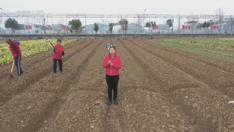 《年货地图》 20230118 湖北大冶：一桌年夜菜 传承好家风