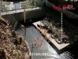味道 《味道》 20171030 老城新味道（一）