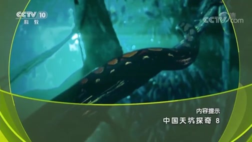 地理中国 《地理中国》 20190705 中国天坑探奇 8