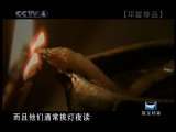 邛窑珍品