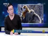 今日影评 《今日影评》 20170420