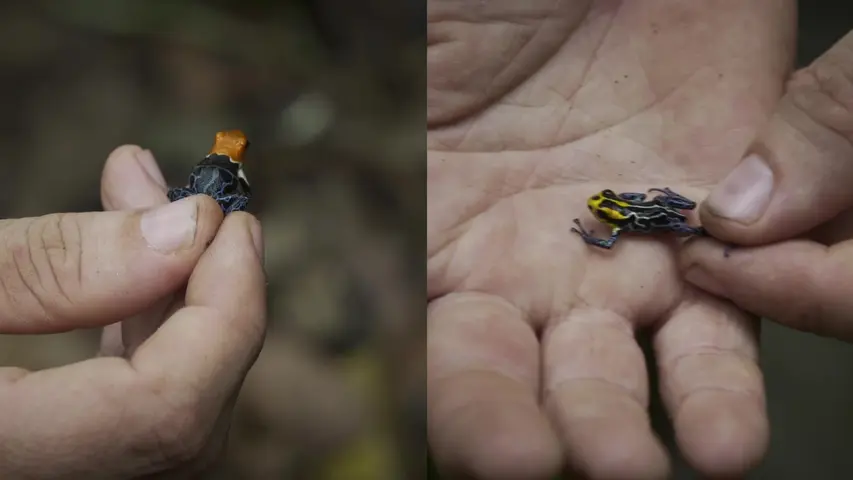 《动物的迁徙》第3集