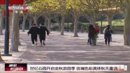 新闻制高点 世纪公园开启金秋游园季 斑斓色彩演绎秋天童话