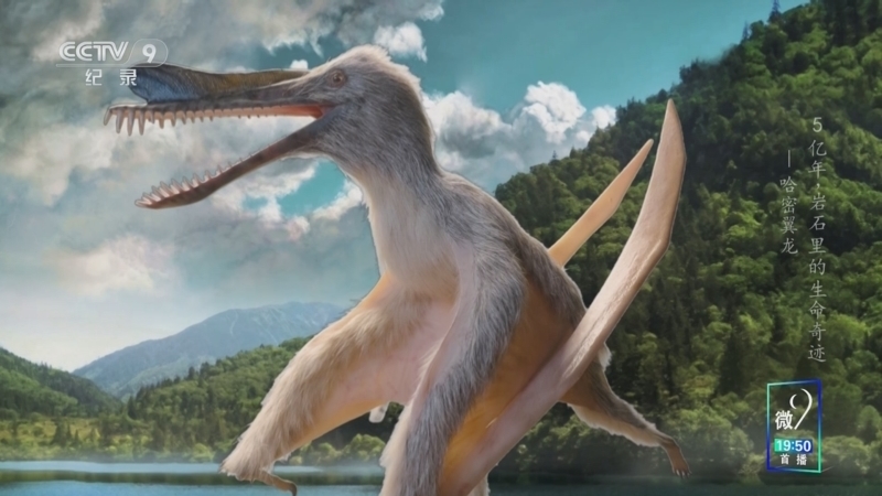 《5亿年 岩石里的生命奇迹 第一季》 第14集 哈密翼龙