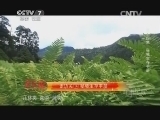 军事纪实 《军事纪实》 20141020 走边关西藏段 第十四集 秘境生存手册