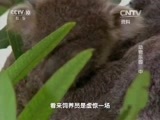 走近科学 《走近科学》 20150923 动物乐园（中）