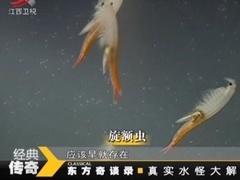 经典传奇 东方奇谈录之真实水怪大解密
