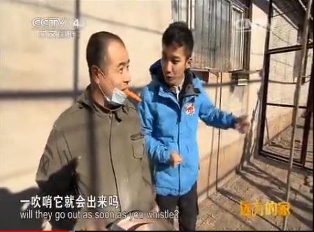 远方的家 江河万里行 第180集 松花江 松花江畔的农家故事 20150106《远方的家》