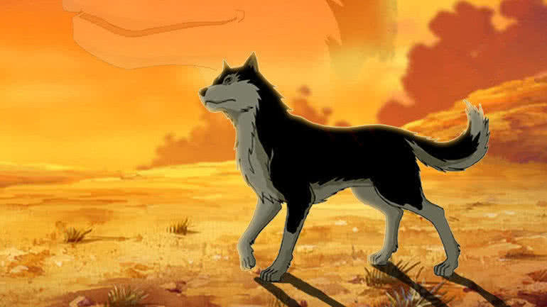 搜救犬阿虎