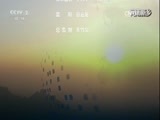 环球经济连线 《环球财经连线》 20170102