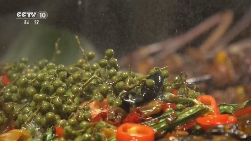 《味道》 20260108 寻味中国（109）