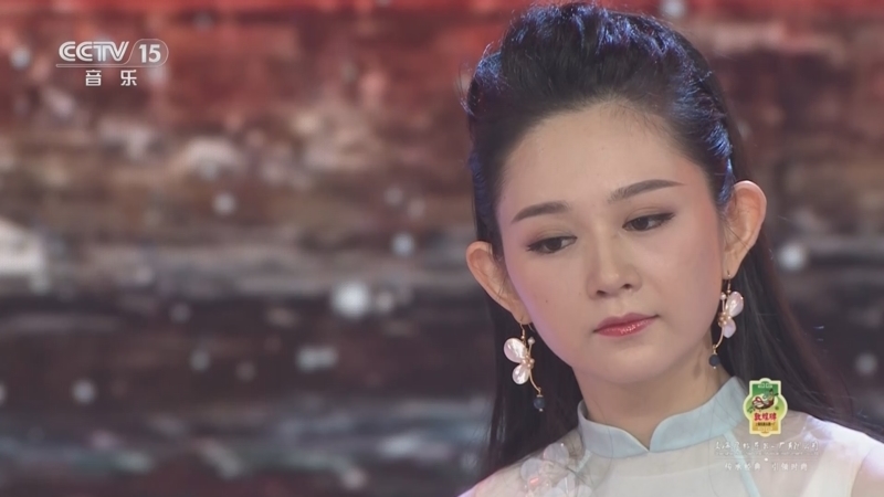 风华国乐 《风华国乐》 20240404
