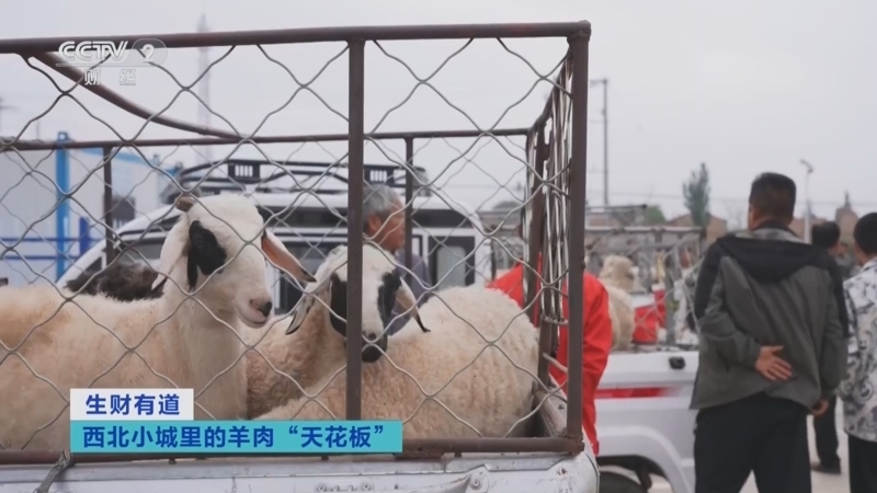 生财有道 《生财有道》 20240827 西北小城里的羊肉“天花板”