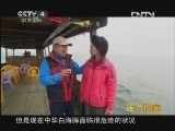 远方的家 《沿海行》第110集 钦州市《远方的家》20120507