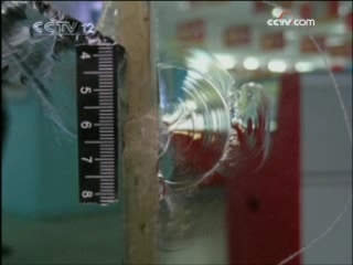 天网 追踪百万黄金