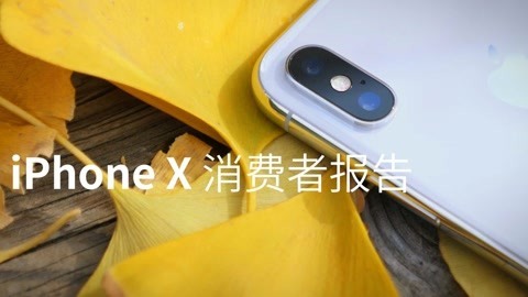 FView iPhone X 消费者报告