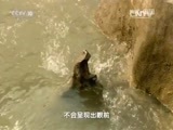 地理中国 《地理中国》 20151127 壮乡秘境·神鼓仙洞传奇（下）