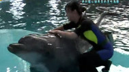 谁与争锋 第二季 120917谁与争锋_001