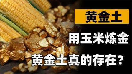 河南发现黄金土（中）土壤中能筛出黄金，村民用玉米棒子炼金致富
