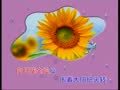 宝宝的双语乐园 Flowers