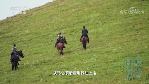 军营的味道 《军营的味道》 20190921