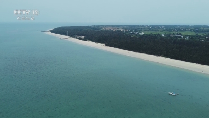 现场 《现场》 20230603 海岛上的守护
