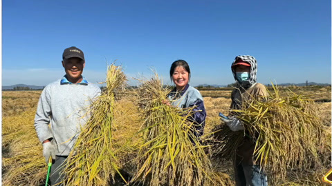 211女生为报父母恩回乡种田 唱播女生求职现场唱歌