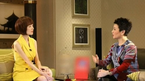 鲁豫有约 梁安琪·我的人生无须解释