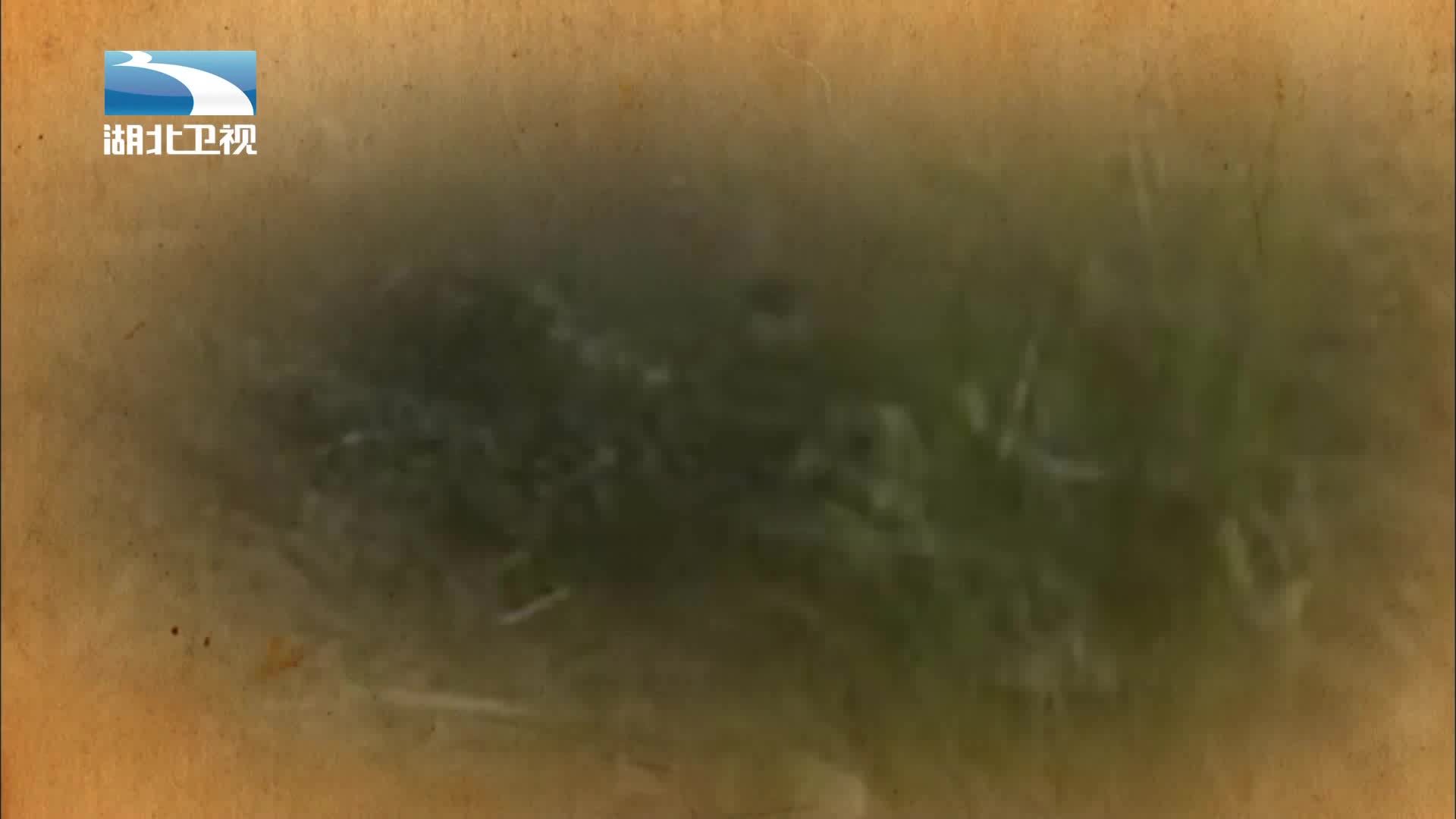 伟大长征 《伟大长征》第1集