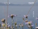 地理中国 《地理中国》 20141024 勇探冰河