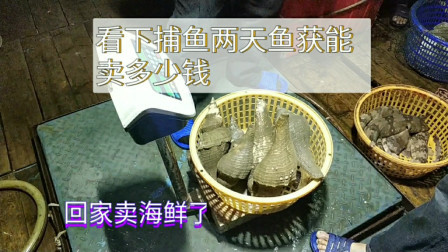 南澳岛赶海日记 广东渔民花两百多万造铁皮船出海，生活虽苦，两天就捕获捞数万鱼
