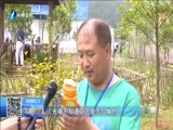 东南晚报 《东南晚报》 20160526
