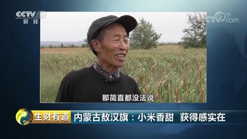 生财有道 《生财有道》 20190304 话说获得感 内蒙古敖汉旗：小米香甜 获得感实在