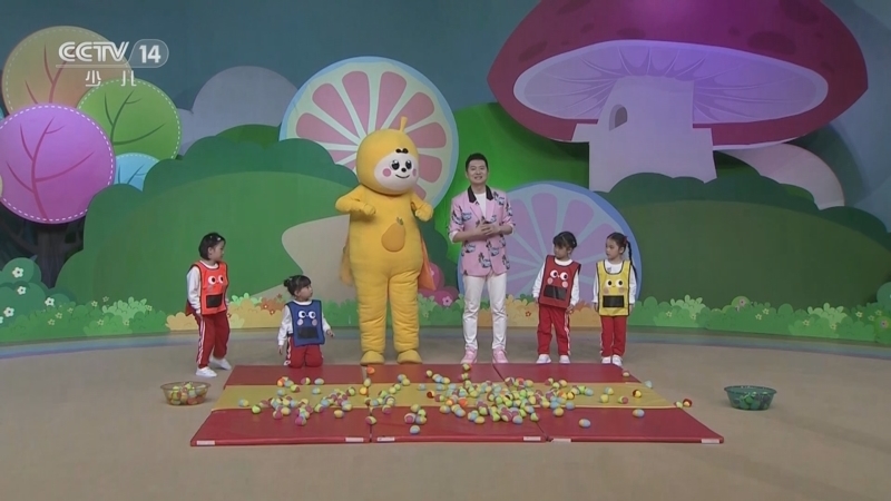 小小智慧树 《小小智慧树》 20230518