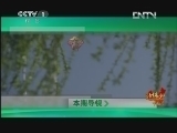 远方的家 《远方的家》 20120619 北纬30°·中国行（12）