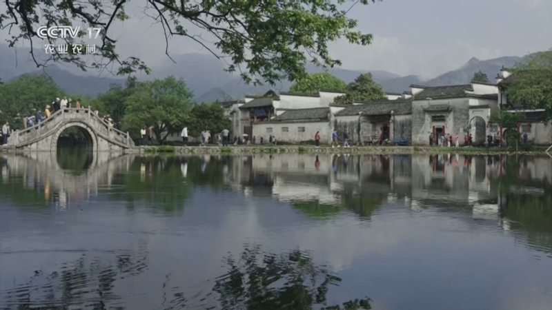 《绿水青山千秋画》 皖南田歌