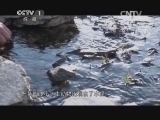 中华民族 《中华民族》 20140902 寻找边地英雄 第二集 鲜红的国徽