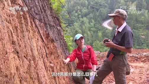 地理中国 《地理中国》 20190213 龙胜奇田