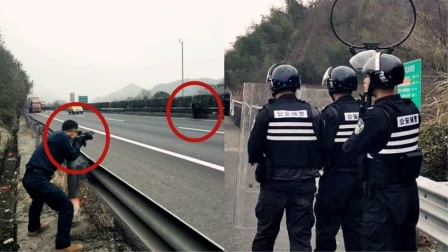 实拍：疯牛闯入高速乱窜 特警一枪击中眉心