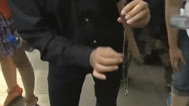 魔法三人行 木块孔洞转移