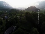 走近科学 《走近科学》 20170125 巴山土猪复兴记（上）