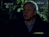 人与自然 人与自然 2009年 第136期