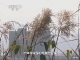 走近科学 《走近科学》 20140512 追缉芦山地震的“肇事者”（上）