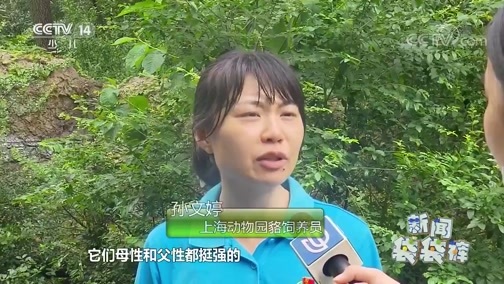 新闻袋袋裤 《新闻袋袋裤》 20200710