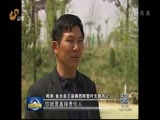山东新闻联播 《山东新闻联播》 20170428