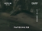 地理中国 《地理中国》 20140101 彩云之南-凤凰洞探秘