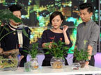 时尚家居 刘园园畅谈老年房装修心得