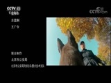 天网 《天网》 20180220 驯犬那些事儿