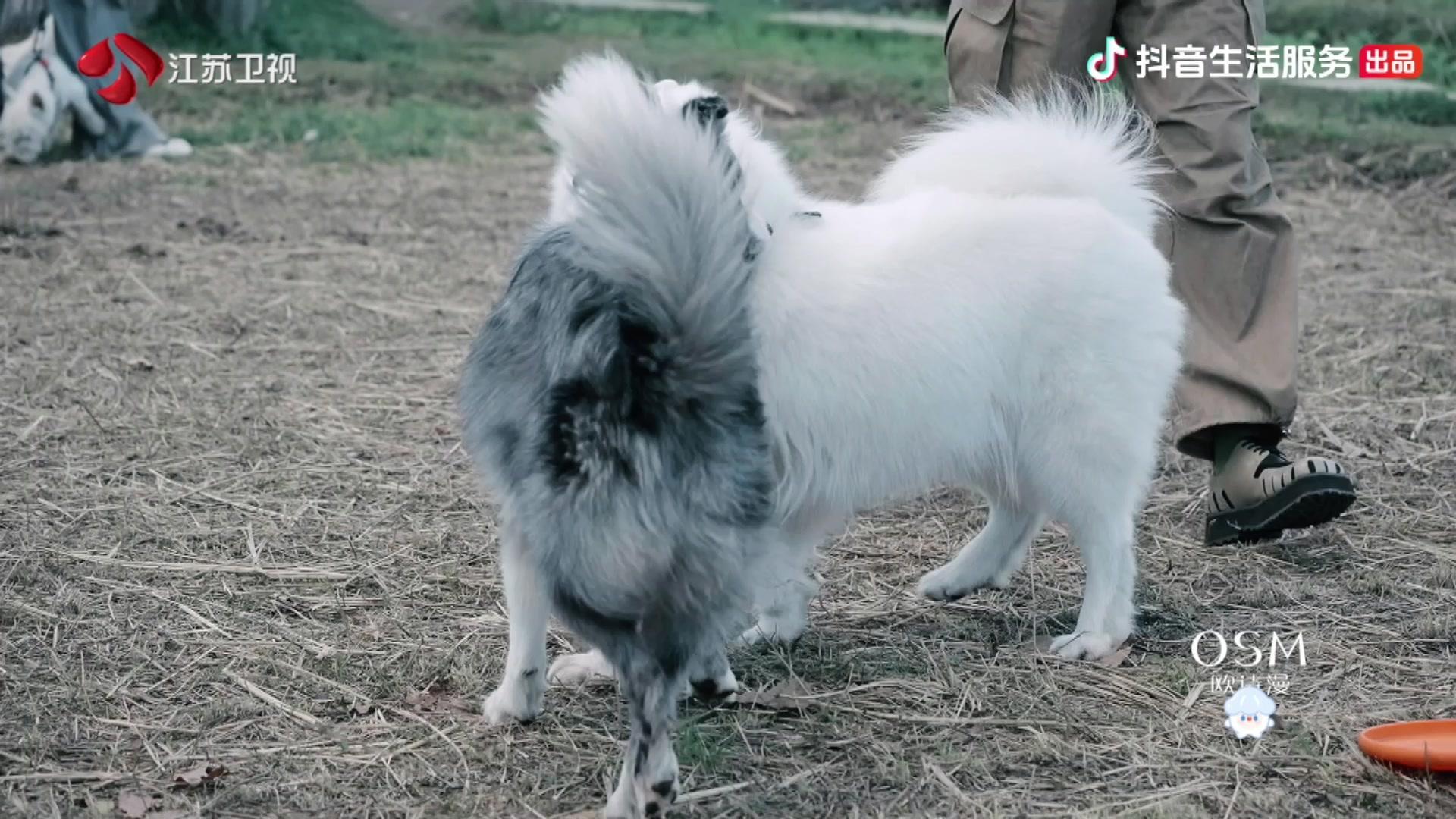 可爱的旅行 第3期